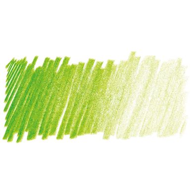 Олівець кольоровий Procolour, (49) Зелена трава, Derwent