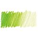 Олівець кольоровий Procolour, (49) Зелена трава, Derwent 5028252513890 зображення 3 з 4