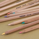 Набір кольорових олівців EXPRESSION PASTEL 12 штук, Bruynzeel 8712079468415 зображення 11 з 12