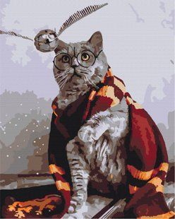 Картина по номерам Котик ловец снитча &copy; Eka Udaltsova, 48х60 см, Brushme