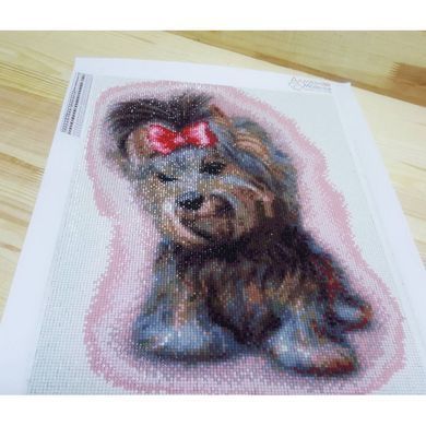 Алмазна вишивка Милий Йорк 30x40 см