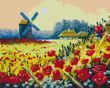 Картина за номерами Макове поле, 40x50 см, Brushme