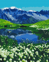 Картина по номерам Альпийские луга, с окрашенными сегментами, 40х50 см, Brushme