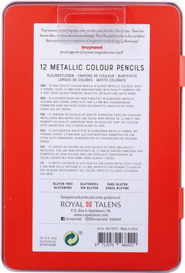 Набір кольорових олівців EXPRESSION METALLIC 12 штук, Bruynzeel