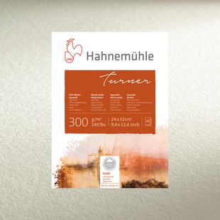 Бумага акварельная William Turner, 50х65 см, 300 г/м&sup2;, CP, лист, Hahnemuhle