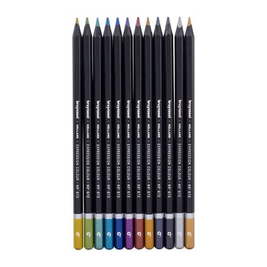Набор цветных карандашей EXPRESSION METALLIC 12 штук, Bruynzeel