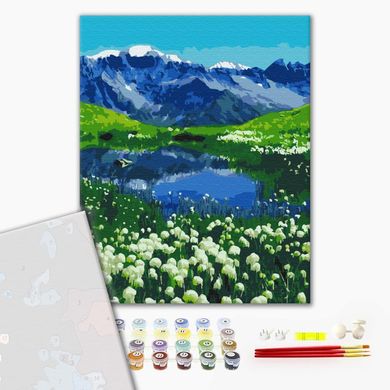 Картина за номерами Альпійські луги, з пофарбованими сегментами, 40х50 см, Brushme