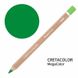 Олівець кольоровий Megacolor, Зелений мох світлий (29181), Cretacolor 9014400292775 зображення 1 з 8