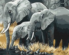 Картина за номерами Сім'я слонів, 40x50 см, Brushme