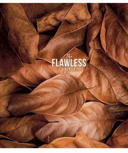 Зошит загальний, 48 аркушів, у клітинку, УФ-лак, The Flawless, Genius