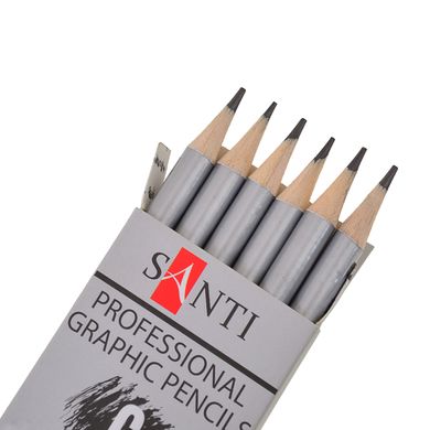 Набір чорнографітних олівців Highly Pro, 6 штук, Santi