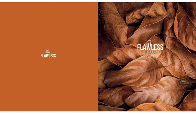 Тетрадь общая, 48 листов, в клетку, УФ-лак, The Flawless, Genius