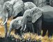 Картина за номерами Сім'я слонів, 40x50 см, Brushme BS3810 зображення 1 з 3