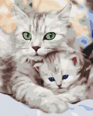 Картина по номерам Мама кошка с котёнком, 40х50 см, Brushme