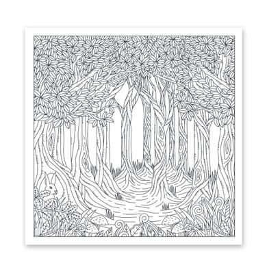 Раскраска антистресс Удивительный лес, 20 страниц, Santi
