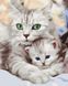 Картина за номерами Мама кішка з котеням, 40х50 см, Brushme BS52689 зображення 1 з 2