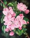 Олівець пастельний Pastel P180, Блідо-рожевий, Derwent 5028252114851 зображення 10 з 15