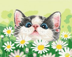 Картина по номерам Кот в ромашках, 40x50 см, Brushme