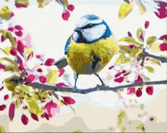 Картина по номерам Весенняя синичка, 40x50 см, Brushme