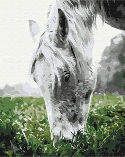 Картина по номерам Cерая лошадка, 40x50 см, Brushme