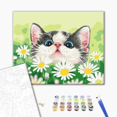 Картина за номерами Кіт у ромашках, 40x50 см, Brushme