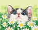 Картина за номерами Кіт у ромашках, 40x50 см, Brushme BS51569 зображення 1 з 2