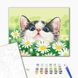Картина за номерами Кіт у ромашках, 40x50 см, Brushme BS51569 зображення 2 з 2
