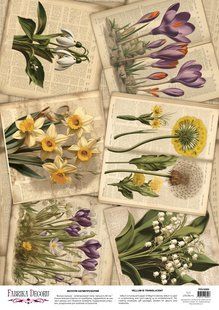 Веллум з малюнком Spring Botanical Story Весняне цвітіння, А3, 29,7х42 см, 90 г/м&sup2;, аркуш, Fabrika Decoru