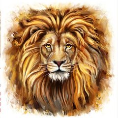 Алмазная вышивка Взгляд Льва 40х40 см
