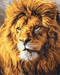 Картина по номерам Взгляд на прайд, 40x50 см, Brushme