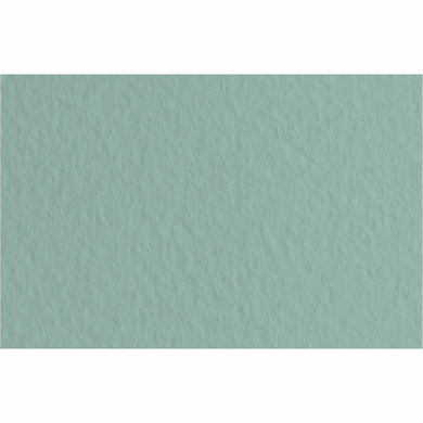 Бумага для пастели Tiziano A4, 21x29,7 см, №13 salvia, 160 г/м2, серо-зелёная, среднее зерно, Fabriano
