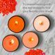 Барвник CANDLE SHOP, ПОМАРАНЧЕВИЙ, для виготовлення свічок, пластівці, 57 г., Alexes PM-SB-010 зображення 2 з 6