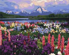 Картина по номерам Долина полевых цветов, 40х50 см, Brushme