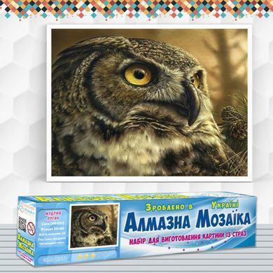 Алмазная вышивка Мудрый Филин 50х40 см