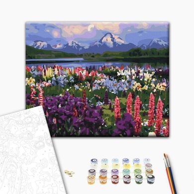 Картина за номерами Долина польових квітів, 40х50 см, Brushme
