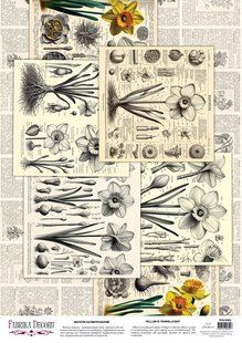 Веллум з малюнком Spring Botanical Story Нарциси, А3, 29,7х42 см, 90 г/м&sup2;, аркуш, Fabrika Decoru