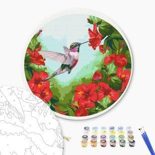 Картина за номерами Колібрі (Розмір M), 30 см, Brushme