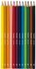 Набір кольорових олівців BIRD, металева коробка, 12 штук, Bruynzeel 8712079434274 зображення 2 з 5