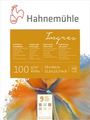 Альбом для пастели Hahnemuhle Ingres 100 г/м², 24х31 см, 20 листов, 9 цветов