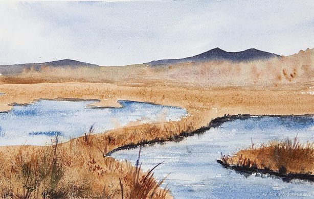 Фарба акварельна Schmincke Horadam Aquarell 15 мл Tundra Orange 981 супергрануляція
