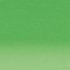 Олівець олійний Lightfast, Grass Green (Зелена трава), Derwent 5028252601085 зображення 2 з 8