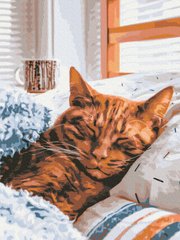 Картина по номерам Утренняя кошка, 30х40 см, Brushme