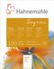 Альбом-склейка для пастели Ingres, 24х31 см, 100 г/м², 20 листов, белый, Hahnemuhle 10628052 фото 1 с 2