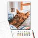 Картина за номерами Ранковий котик, 30х40 см, Brushme RBS52320 зображення 2 з 2