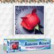 Алмазна вишивка Червона Троянда 22х24 см DM-005 зображення 2 з 4