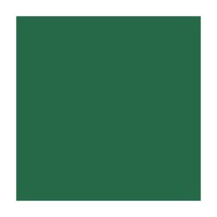 Папір для дизайну Fotokarton B1, 70x100 см, 300 г/м2, №58 хвойно-зелений, Folia