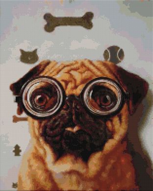 Алмазна мозаика Перевірка зору собачки ©Lucia Heffernan, 40x50 см, Brushme