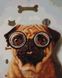 Алмазна мозаика Перевірка зору собачки ©Lucia Heffernan, 40x50 см, Brushme DBS1220 фото 1 с 2