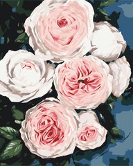 Картина за номерами Бутони пишних троянд, 40х50 см, Brushme