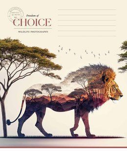 Тетрадь ученическая, 18 листов, в клетку, ВД-лак, Wild life, Star